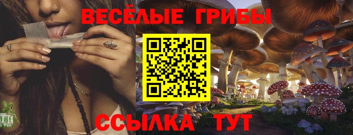 Псилоцибиновые грибы Psilocybe  Псилоцибиновые грибы Cubensis  Вход с VPN  Кушва 